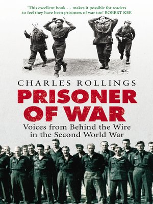 cover image of Prisoner of War